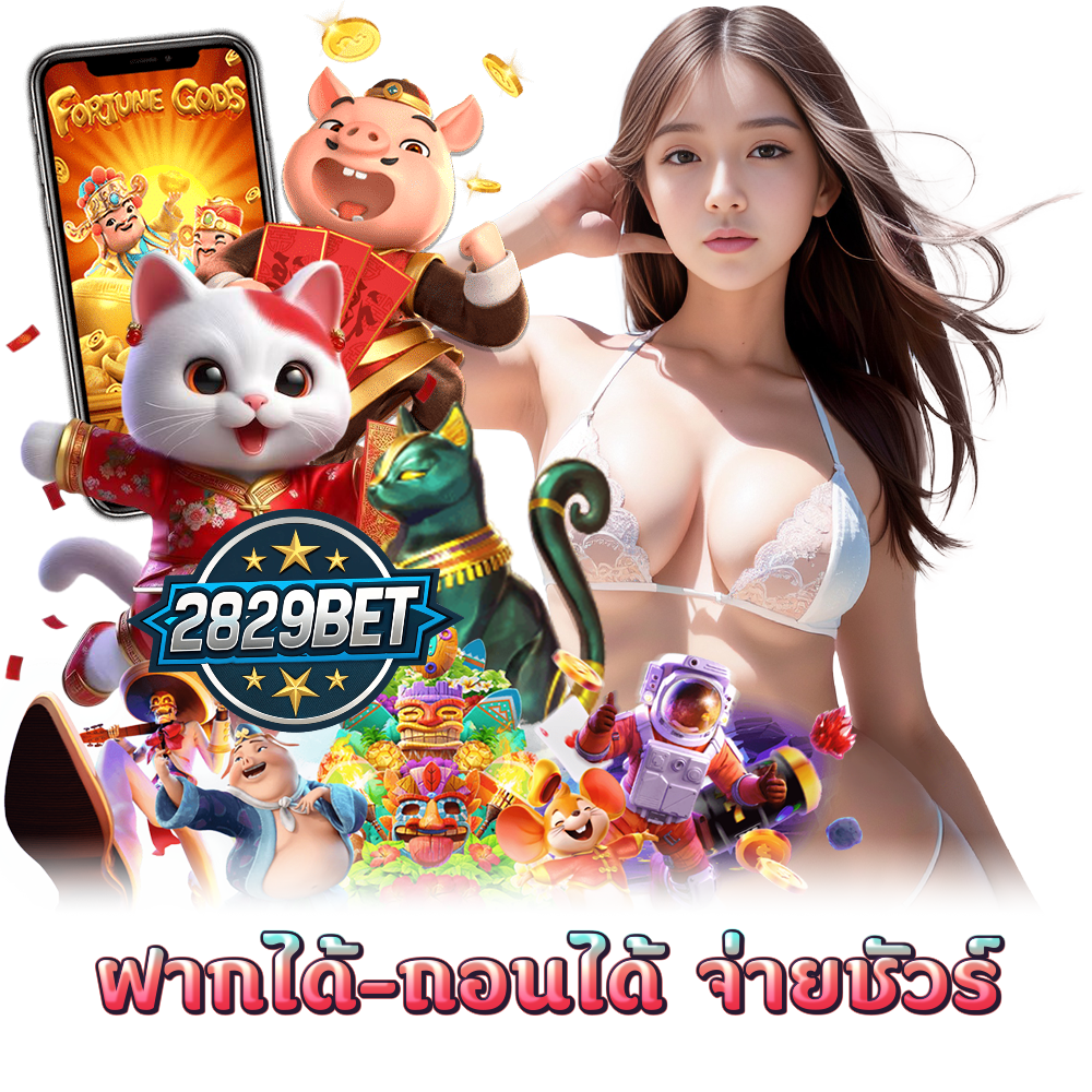 2829BET เล่นง่าย